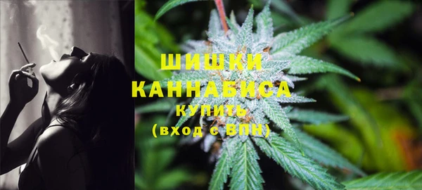 трава Новодвинск