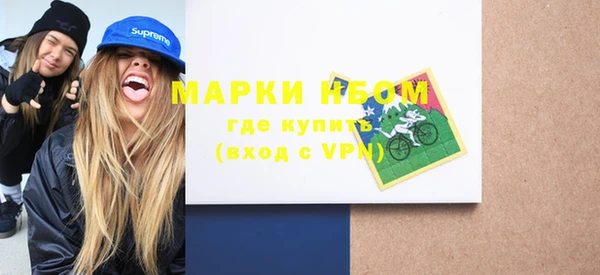 ГАЛЛЮЦИНОГЕННЫЕ ГРИБЫ Новозыбков