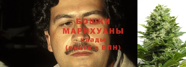 гидропоника Абаза
