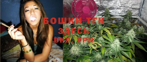 прущие грибы Алексин