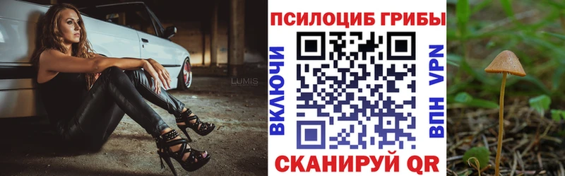 Псилоцибиновые грибы прущие грибы Советский