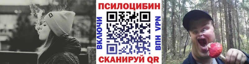Галлюциногенные грибы Psilocybe  omg онион  Советский 
